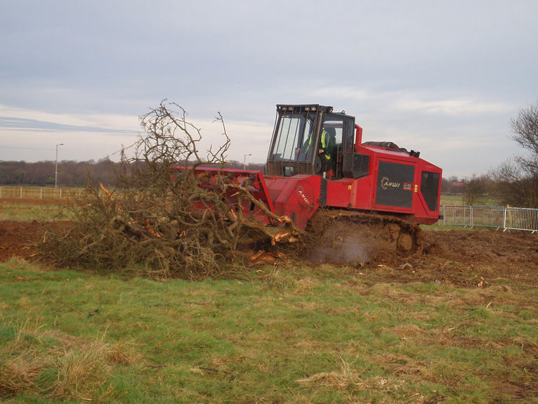 No Burn Site Clearance
