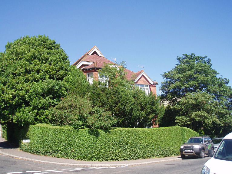 Tree Reports for Developers